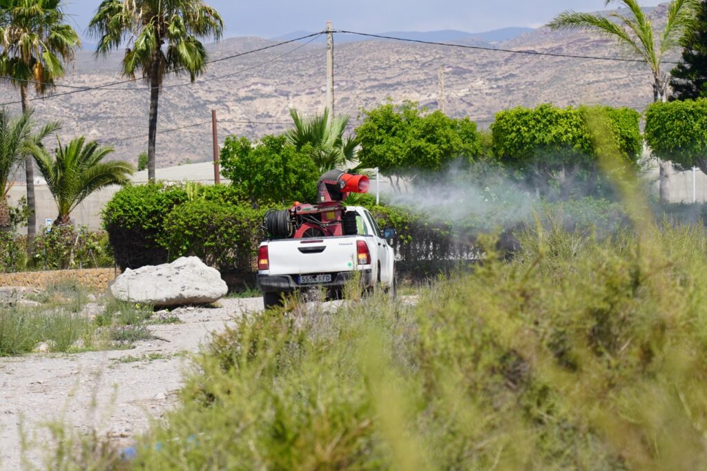 Las últimas Lluvias Y Las Altas Temperaturas Intensifican La Lucha Contra Los Mosquitos Y Sus 1973