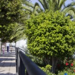 Parques/Avenidas/Urbanizaciones